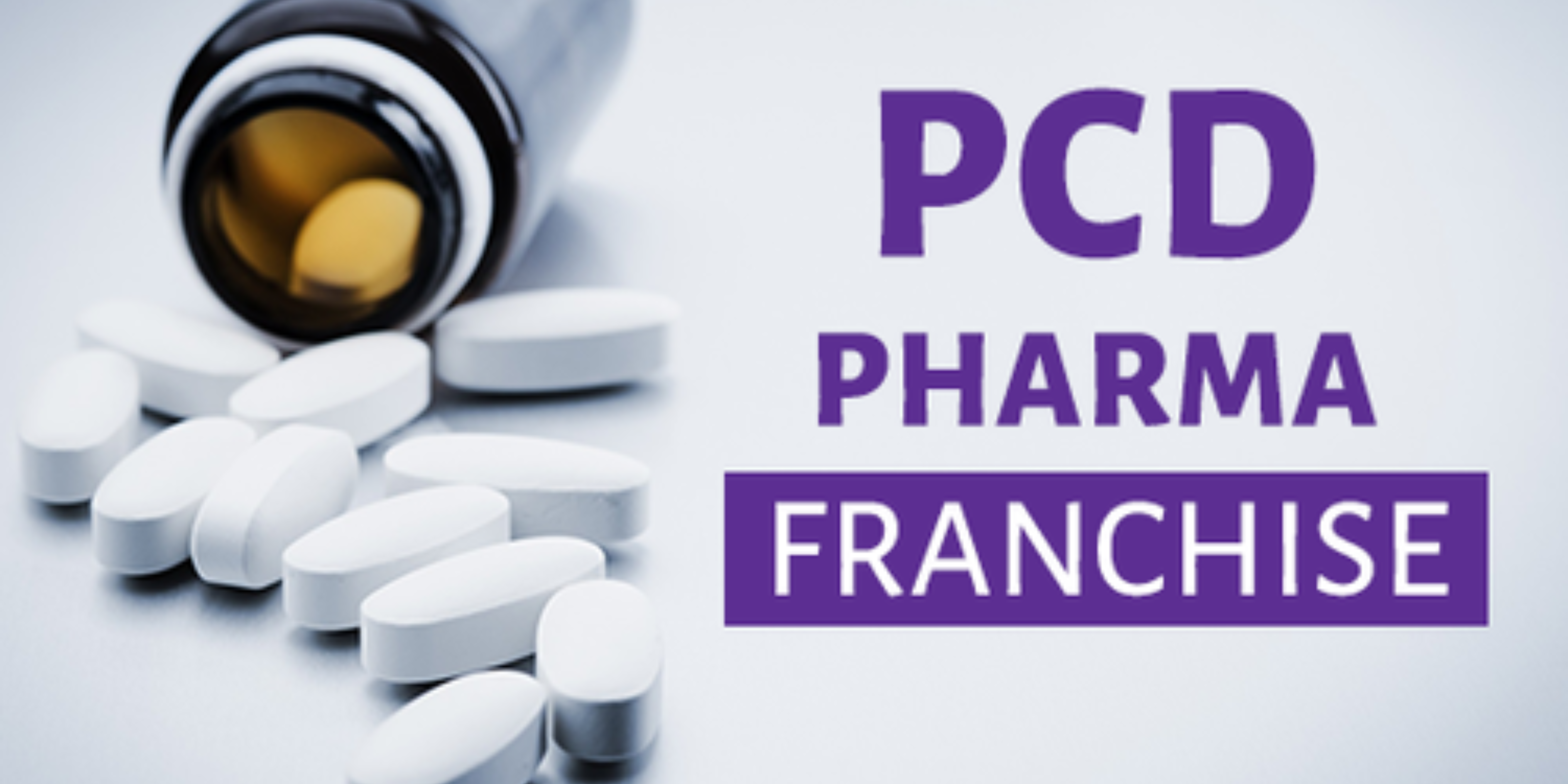 PCD Pharma Franchise in India