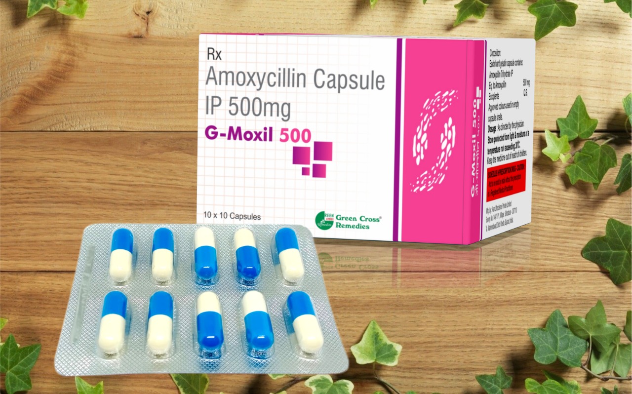 Amoxicillin 500 Mg Capsule G MOXIL 500 Use In Tonsillitis Bronchitis 