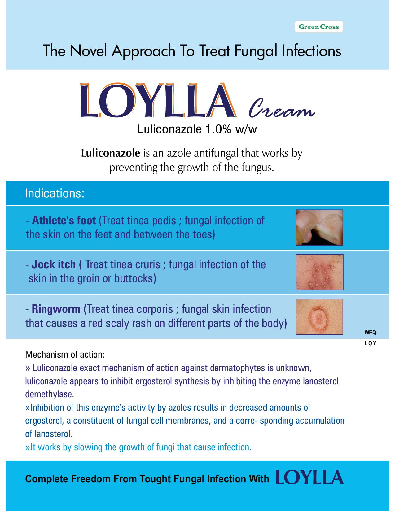 LOYLLA Cream